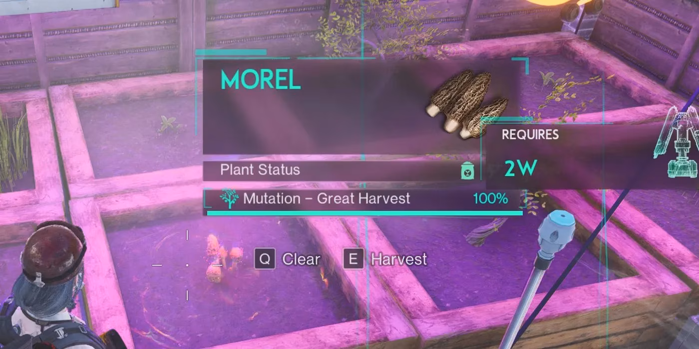 the-ultimate-guide-to-farming-morel-mushrooms-in-once-human-from-seed-hunting-to-harvest-image-1