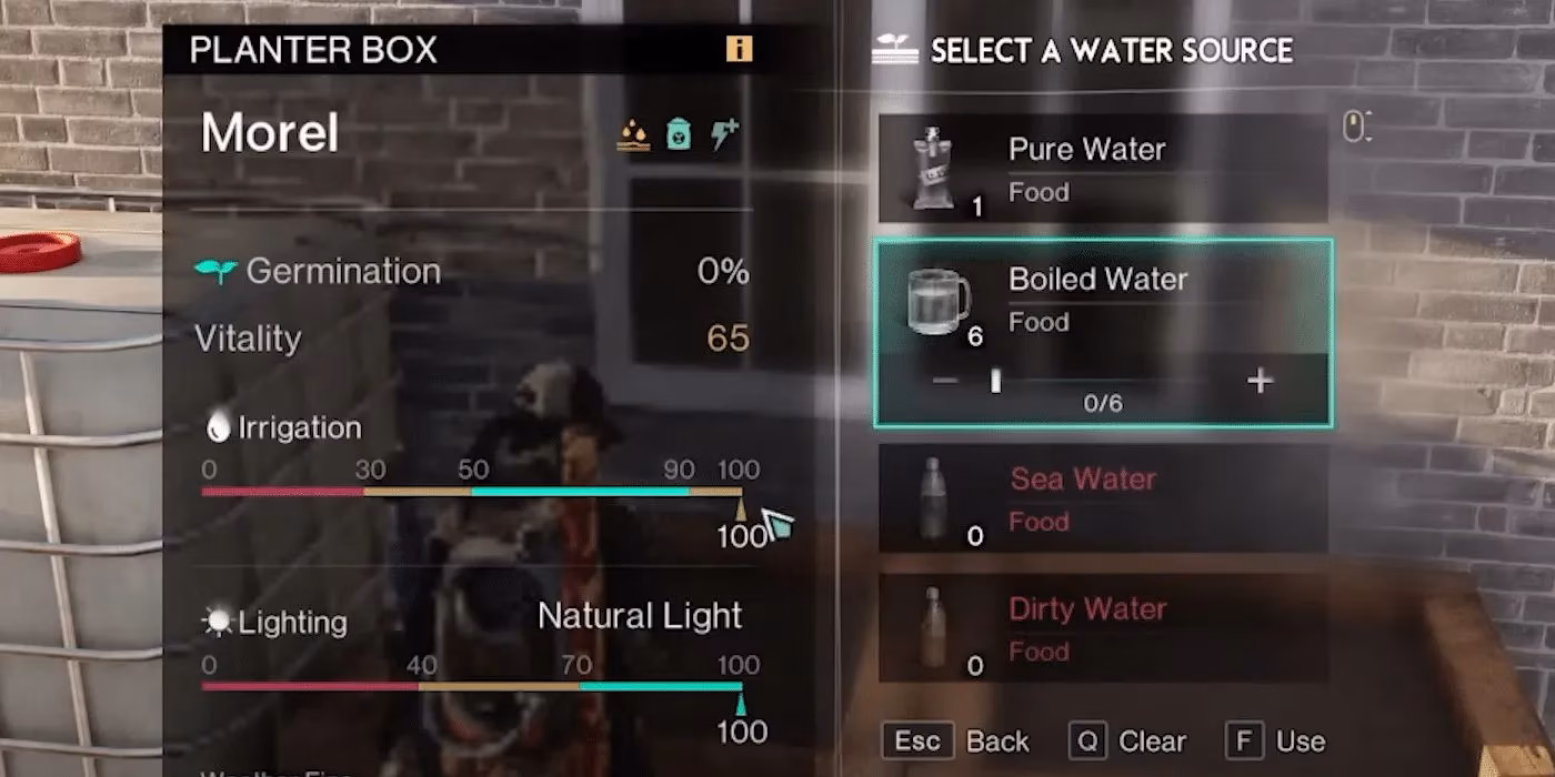 the-ultimate-guide-to-farming-morel-mushrooms-in-once-human-from-seed-hunting-to-harvest-image-2